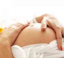 18 Tjedana trudnoće