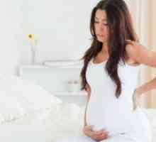 31 Tjedna trudnoće: boli stomak