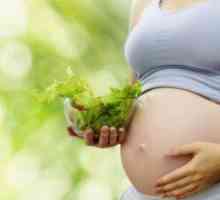 31 Tjedna trudnoće: prehrana