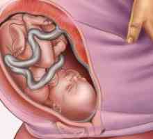 35 Tjedna trudnoće: beba težina