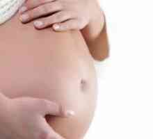 38 Tjedna trudna: vesnici rođenja