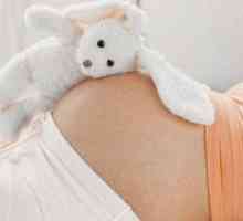 40 Tjedna trudnoće pre rođenja