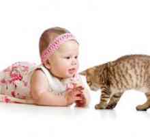 Mačka alergije kod djece
