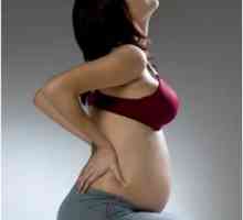 Niska bol u leđima u trudnoći