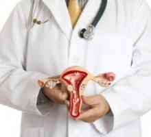 Cervikalni kanal u trudnoći