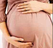 Šta ako skamenjena trbuh 38 tjedna trudna?