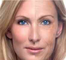 Domaći lica za njegu kože. procedure tips