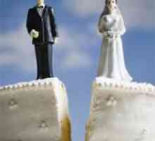 Postoji li opasnost za svoj brak? Naučnici su identifikovali 15 znakova razvoda