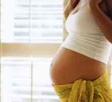 Fetometry fetus: 34 tjedna