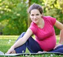 Fitnes za trudnice: stručne savjete