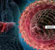 Hepatitis u trudnoći