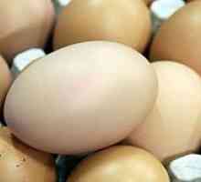 Jaje dijeta za 4 sedmice (četiri sedmice)
