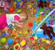 Kako naučiti dijete da se očisti nakon igračka?