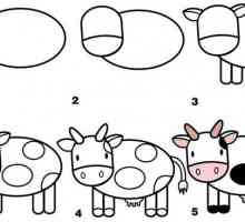 Kako nacrtati životinje (najosnovnije crtež lekcija)