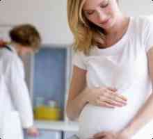 Koje testove je potrebno da prođe u trudnoći