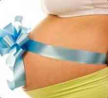 Koje testove je potrebno da prođe kada planiraju trudnoću