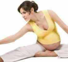 Šta vježbe se savjetuje doktori sadržaja tijekom trudnoće?