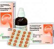 Kanefron tokom trudnoće: prirodni siguran lijek za trudnice
