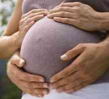 Kada se trbuh počne da raste tokom trudnoće?