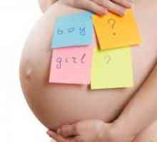 Kada stomak tokom trudnoće?