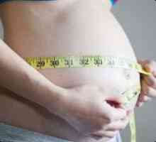 Malo stomak tokom trudnoće