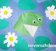 Master Class "žaba u ribnjaku": origami uz primjenu elemenata