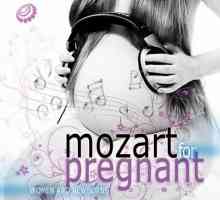 Mozart za trudnice i novorođenčad