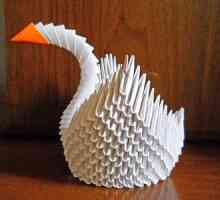 Modularni origami labuda trouglastog modula - Skupština kolo