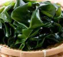 Morske alge u trudnoći: izvor joda i vitamina