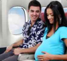 Da li je moguće za trudnice letjeti u avionu?