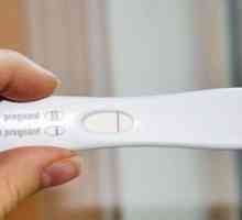 Kog dana nakon začeća, trudnoće test pokazuje