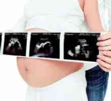 Normalno težina fetusa u 26 tjedna trudnoće