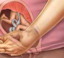 Normalno težina fetusa u 27 tjedna trudnoće