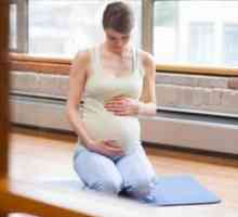 Trening prije rođenja? Okrugli sto o prenatalnom obrazovanje