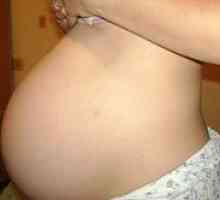 Propust abdomena pre rođenja