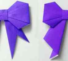 Origami traku papira sa svojim rukama. Fotografija, video