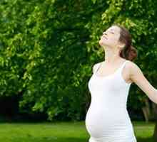 Papiloma tokom trudnoće