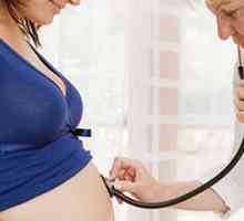 Registracija trudnoće: važne tačke