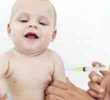 DTP Vakcinacija ne štiti od velikog kašlja grudnichka štapići!