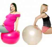 Jednostavan i pristupačan vježbe za trudnice: 2 trimestru