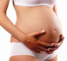 Razvoj fetusa u 36 tjedna