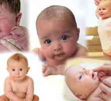 Fetalni razvoj nedelje u nedelju. Slike, fotografije i opis
