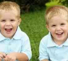 Razvoj jezika kod blizanaca i blizanci