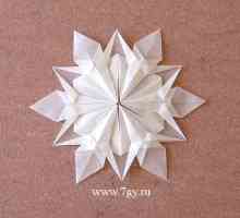 Pahuljice origami papir. Video.