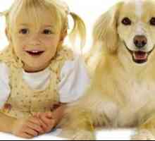 Pas za obitelj s djecom - što rase odabrati?