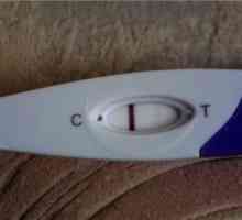 Inkjet test na trudnoću