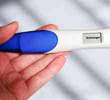 Test na trudnoću Clearblue