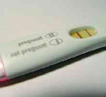 Test na trudnoću se savjetuje da rade ujutro. Zašto?