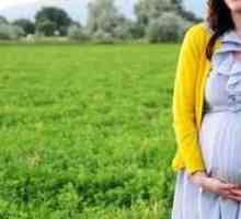 Povlači želudac 39 tjedna trudna