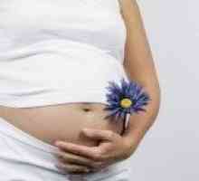 Ureaplazma i ureaplasmosis kod trudnica